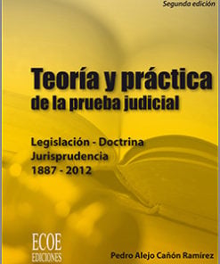 Teoría y práctica de la prueba judicial - 2da edición