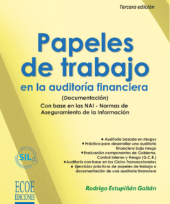 Papeles de trabajo en la auditoría financiera (Documentación) - 3ra edición