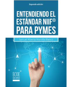 Entendiendo el estándar NIIF® para PYMES - 2da edición