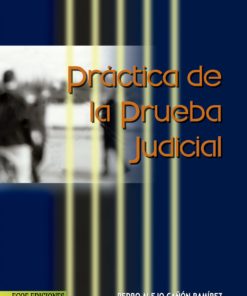 Práctica de la prueba judicial