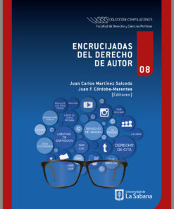 Encrucijadas del derecho de autor