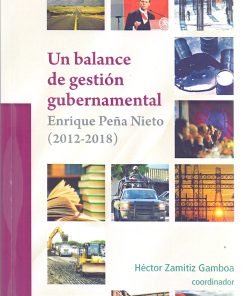 Un balance de gestión gubernamental  - 1ra edición