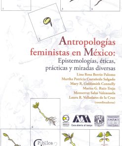 Antropologías feministas en México: Epistemologías, éticas, prácticas y miradas diversas - 1ra edición