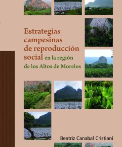 Estrategias campesinas de reproducción social en la región de los Altos de Morelos - 1ra edición
