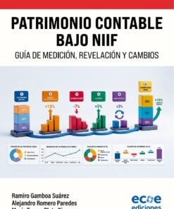 Patrimonio contable bajo NIIF